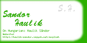 sandor haulik business card